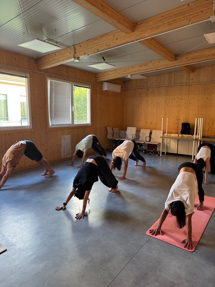 Yoga in compagnia